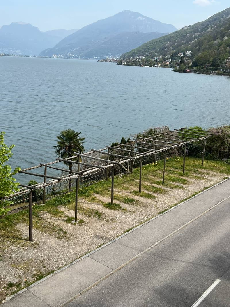 Metal trellis, grassy area, palm tree, gravel pathway, street view, mountain range, water body