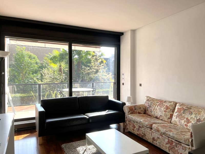 two sofas, coffee table, large windows, balcony, trees view