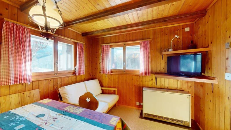 white couch, wooden bed, wooden walls, two windows, TV, radiator, lamp