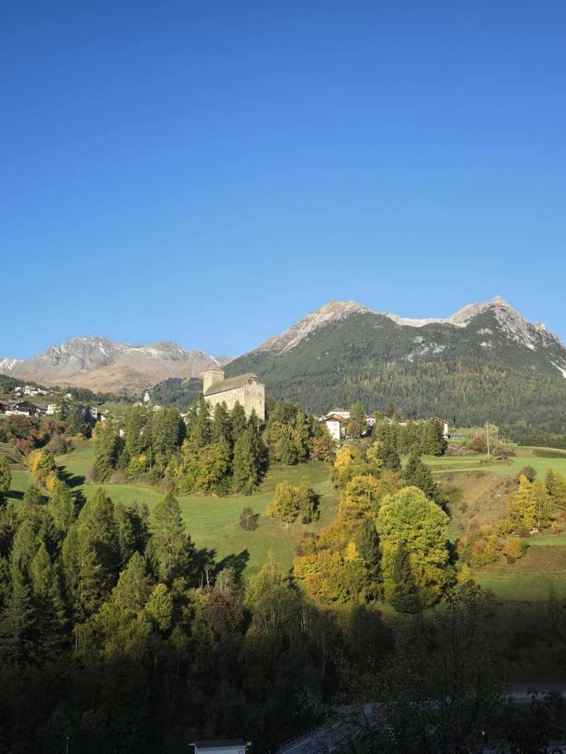hillside with trees, mountains in the background, a castle, village houses, clear blue sky