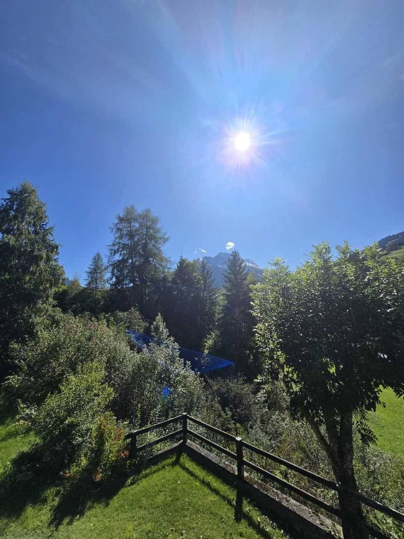 green grass, wooden fence, trees, mountains in the background, sunny day