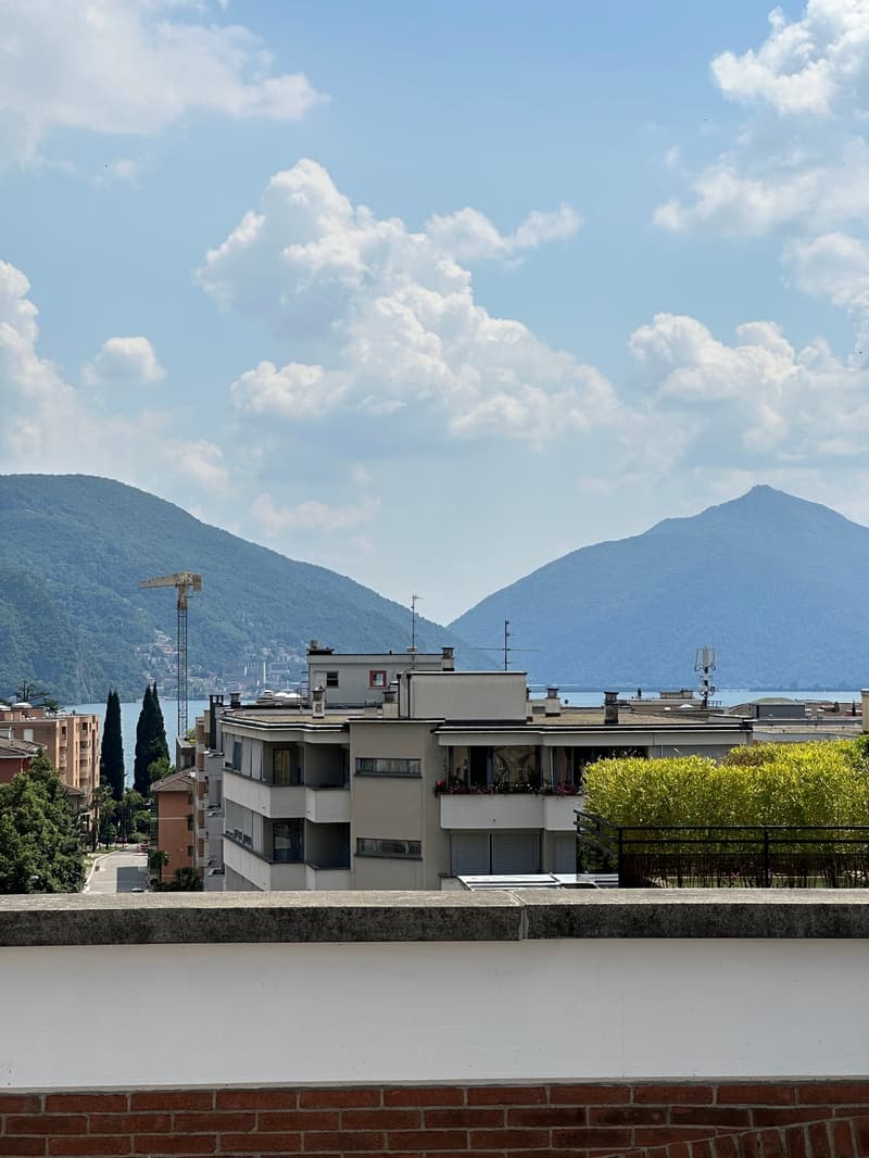 Attico duplex integralmente ristrutturato con materiali di pregio. (11)