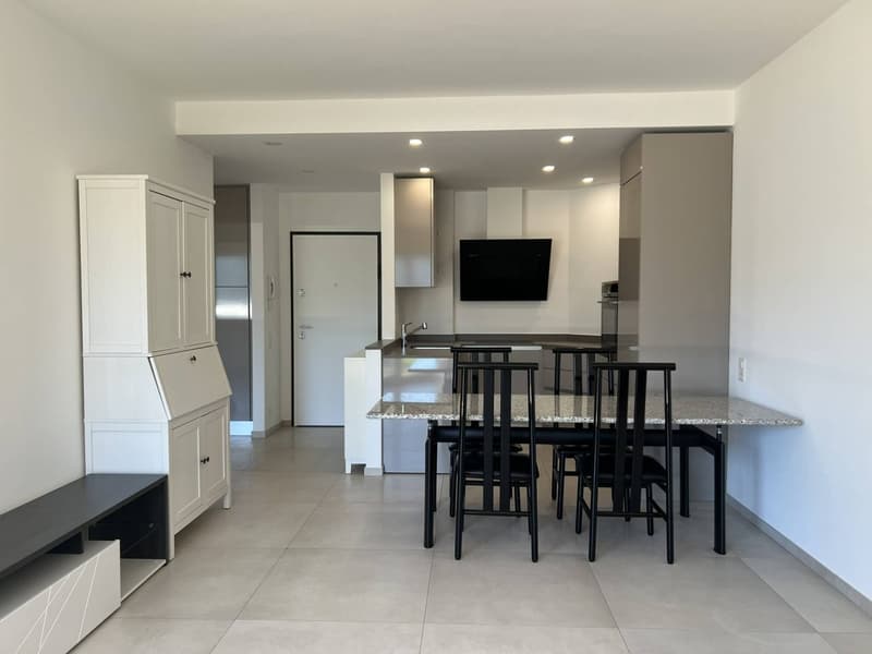 Elegante appartamento arredato (10)