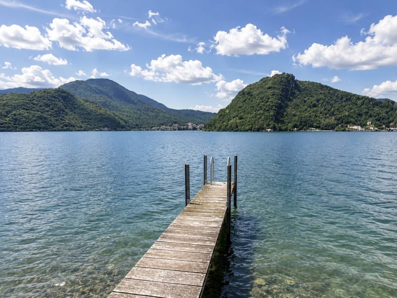 Incantevole appartamento di 3.5 locali a Figino, sul Lago di Lugano (3)