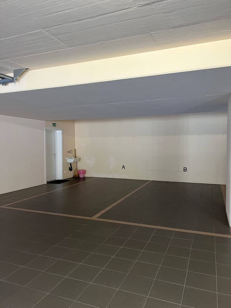 Incantevole appartamento di 3.5 locali con vista lago a Melide (10)