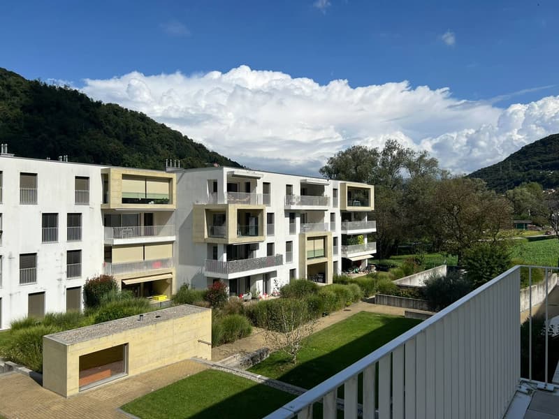 Moderno appartamento 3.5 locali con balcone a Barbengo (9)