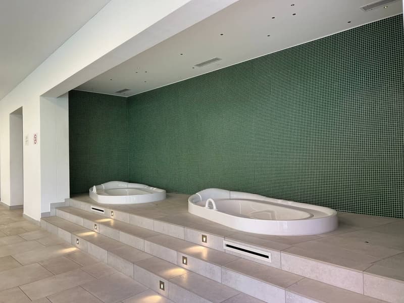 Moderno appartamento 3.5 locali con balcone a Barbengo (19)
