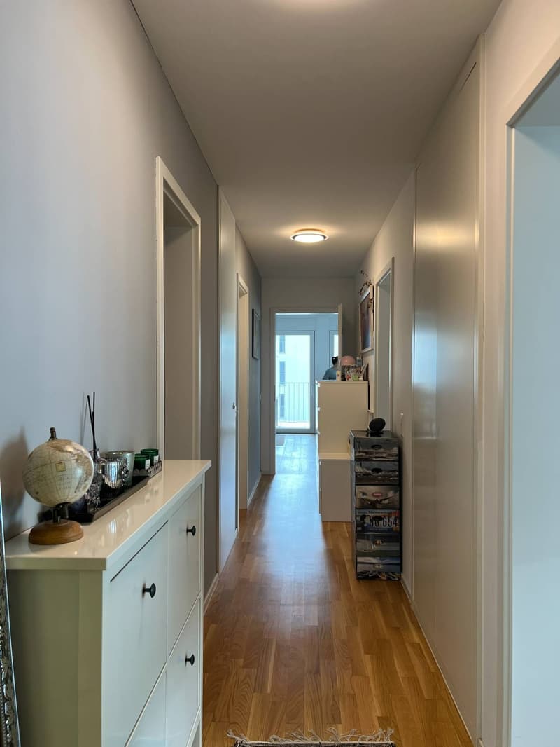 Moderno appartamento 3.5 locali con balcone a Barbengo (22)
