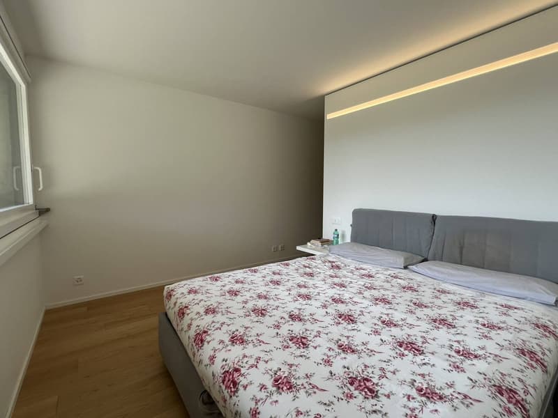Castagnola - appartamento duplex (10)