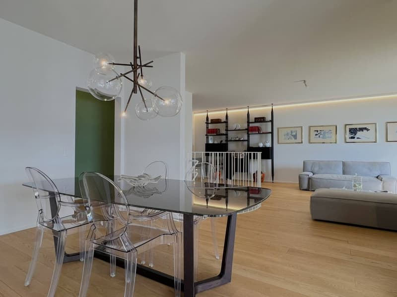 Castagnola - appartamento duplex (17)
