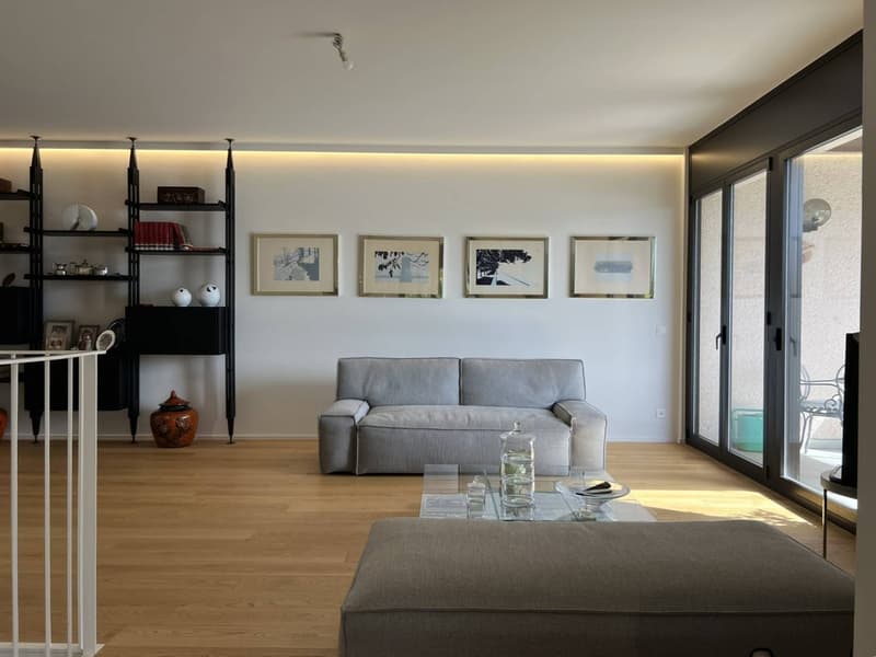 Castagnola - appartamento duplex (14)