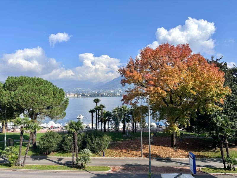 In prima fila fronte lago, a Paradiso. (2)