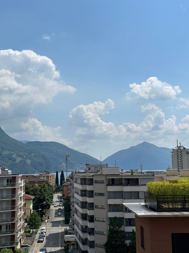 Attico duplex integralmente ristrutturato con materiali di pregio. (24)