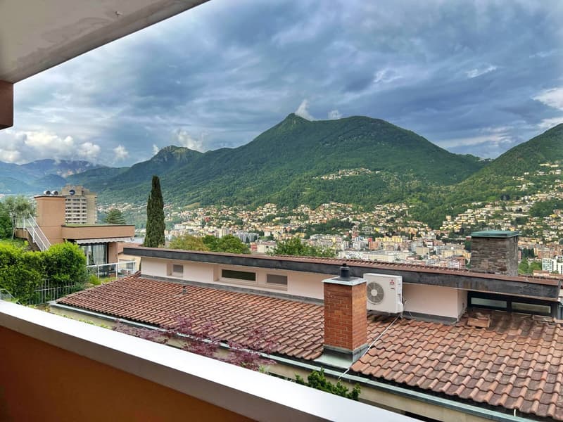 Affascinante appartamento di 3,5 locali con vista panoramica a Massagno (5)