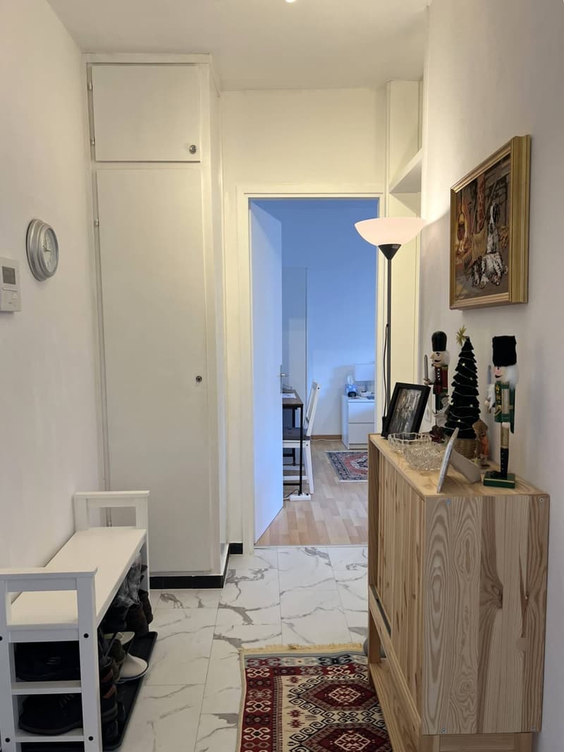 Appartamento disponibile per affitti da 1 mese fino a 10 mesi. (6)