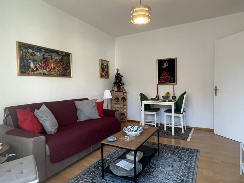 Appartamento disponibile per affitti da 1 mese fino a 10 mesi. (2)