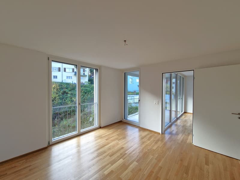 Moderne 2.5-Zimmerwohnung in der Neustadt Luzern (2)