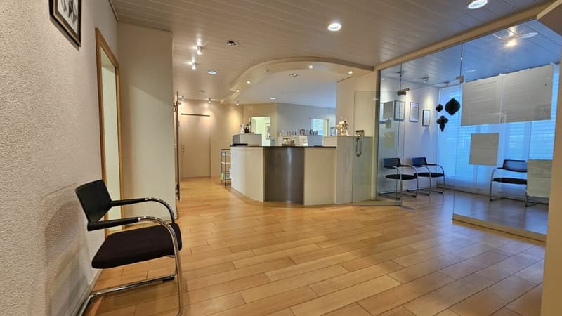 Dienstleistungsfläche im Herzen von Kriens (1)