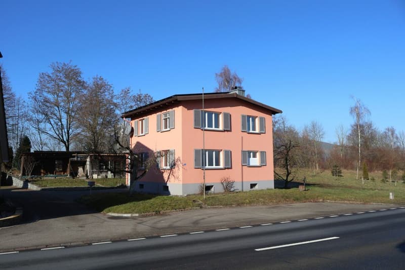 Single-family house with stream border (3)