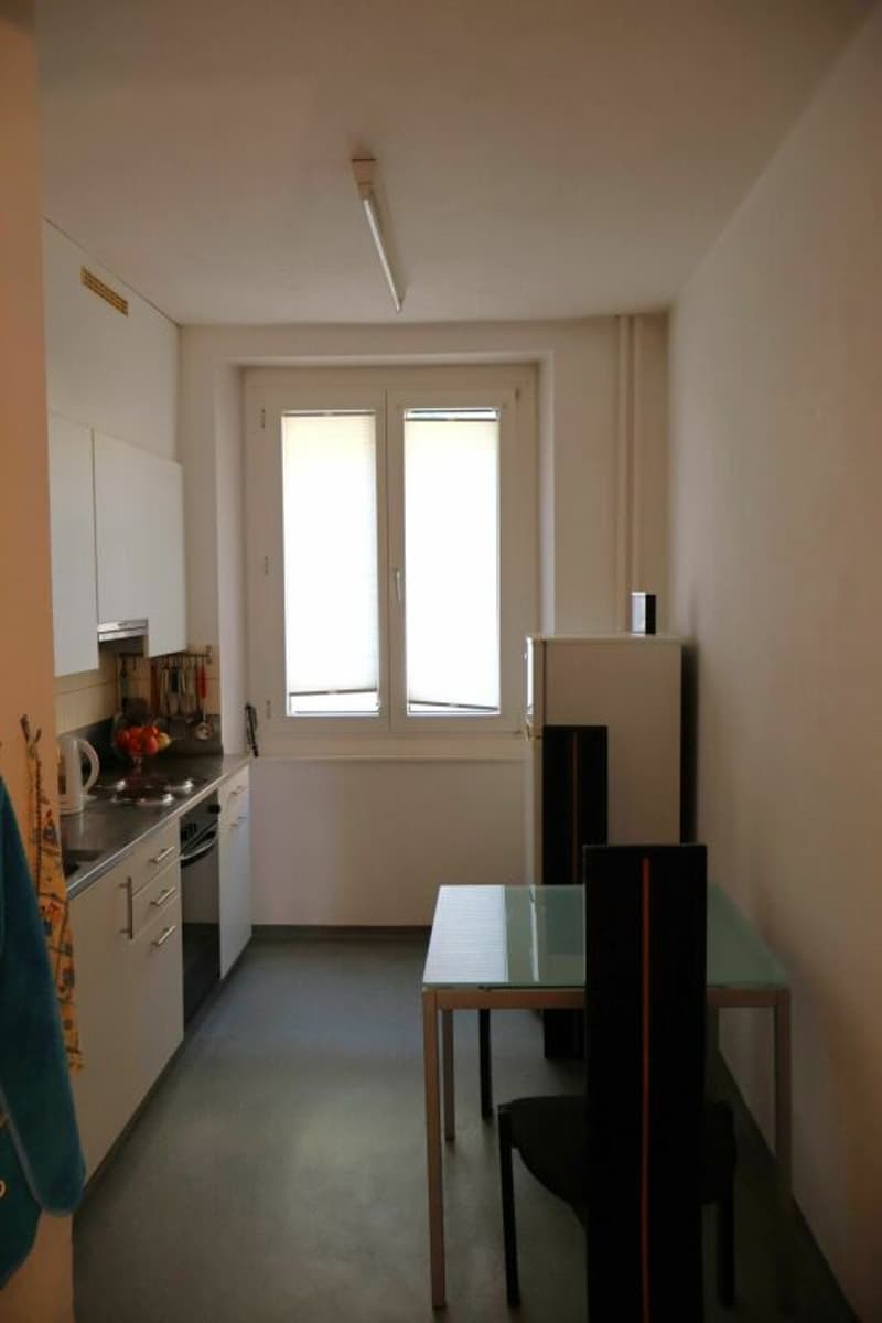Appartement 3 pièces avec caractère de bâtiment ancien (6)