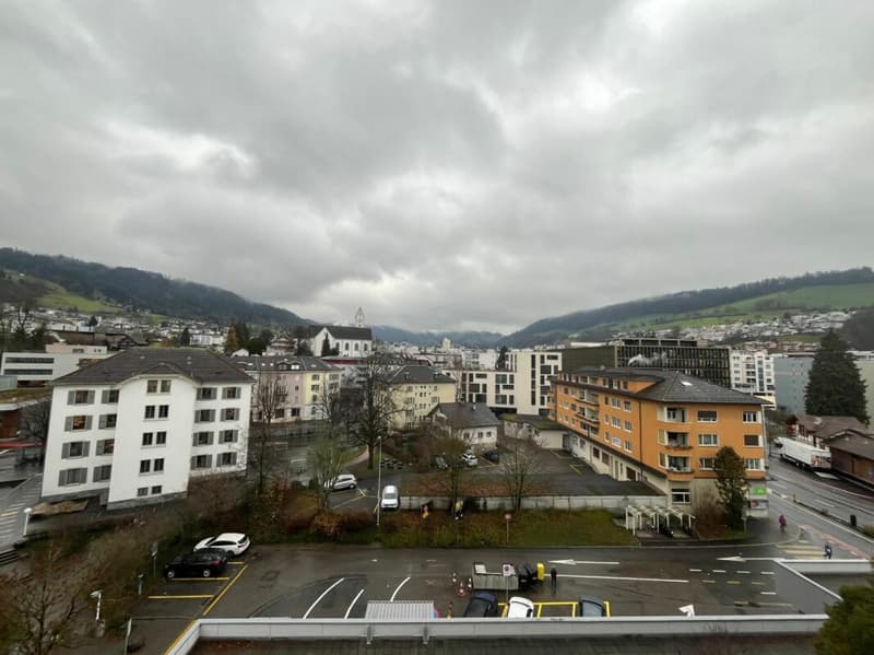 Appartement 1 pièce avec vue sur Pilatus (6)