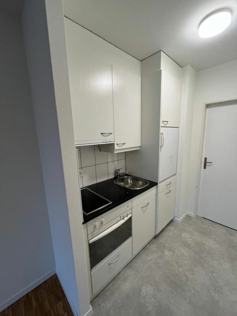 Appartement 1 pièce avec vue sur Pilatus (3)