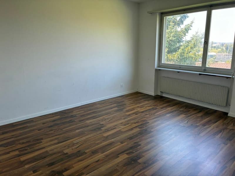 3½-Zimmerwohnung in Ebikon (1)