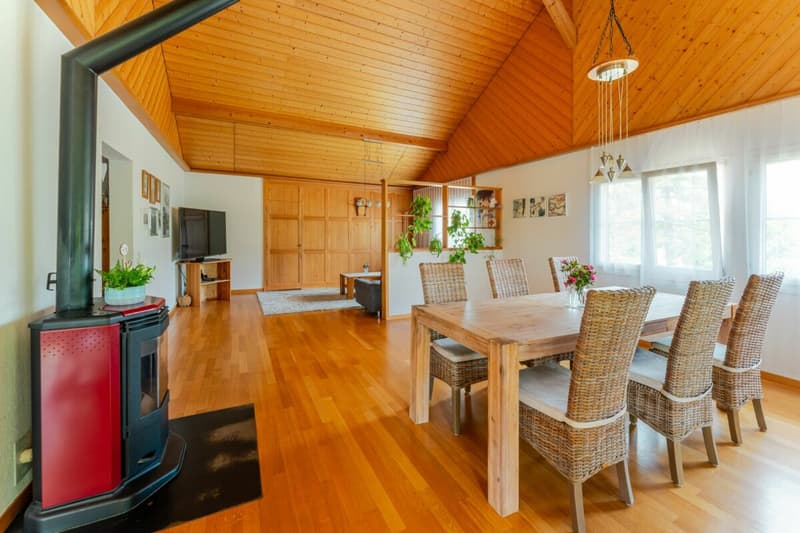Farmhouse with 4 apartments and horse stable on a spacious plot in a prime location (14)