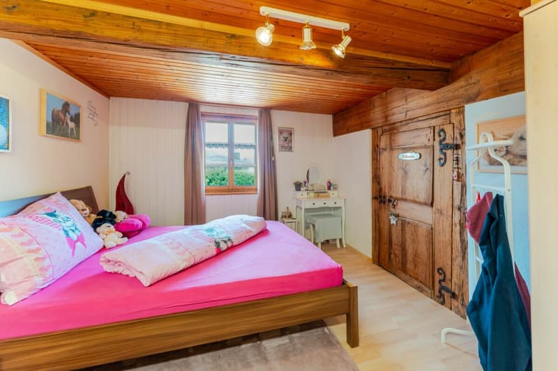 Farmhouse with 4 apartments and horse stable on a spacious plot in a prime location (6)