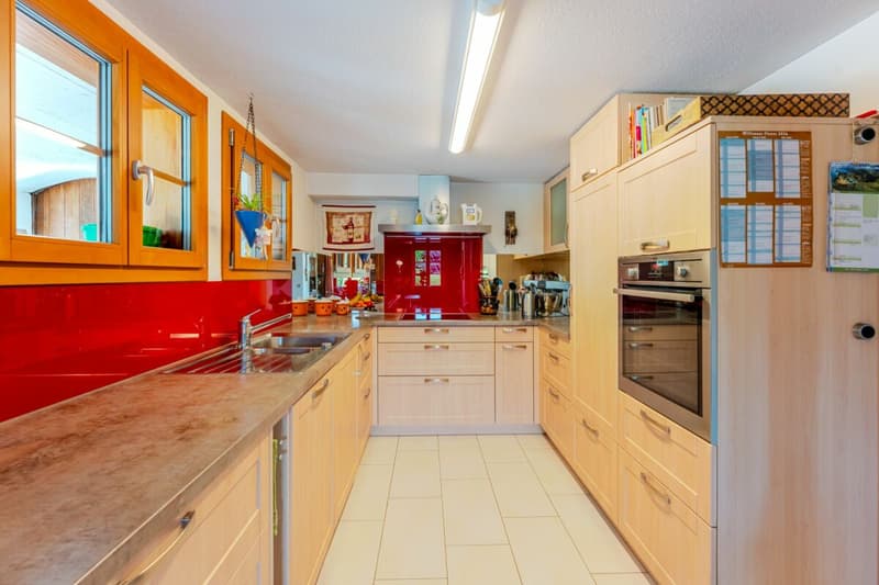 Farmhouse with 4 apartments and horse stable on a spacious plot in a prime location (3)