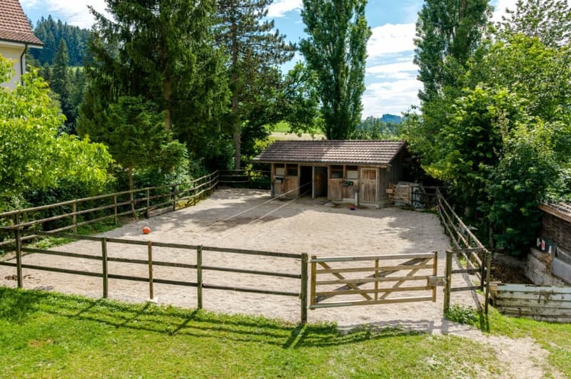 Farmhouse with 4 apartments and horse stable on a spacious plot in a prime location (8)