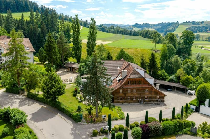 Farmhouse with 4 apartments and horse stable on a spacious plot in a prime location (1)