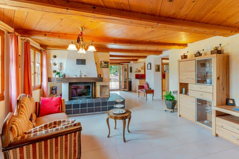 Farmhouse with 4 apartments and horse stable on a spacious plot in a prime location (2)