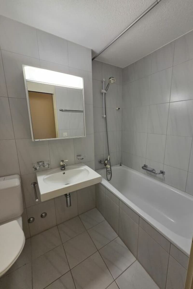 Bright 2.5-room apartment in Buchrain (4)