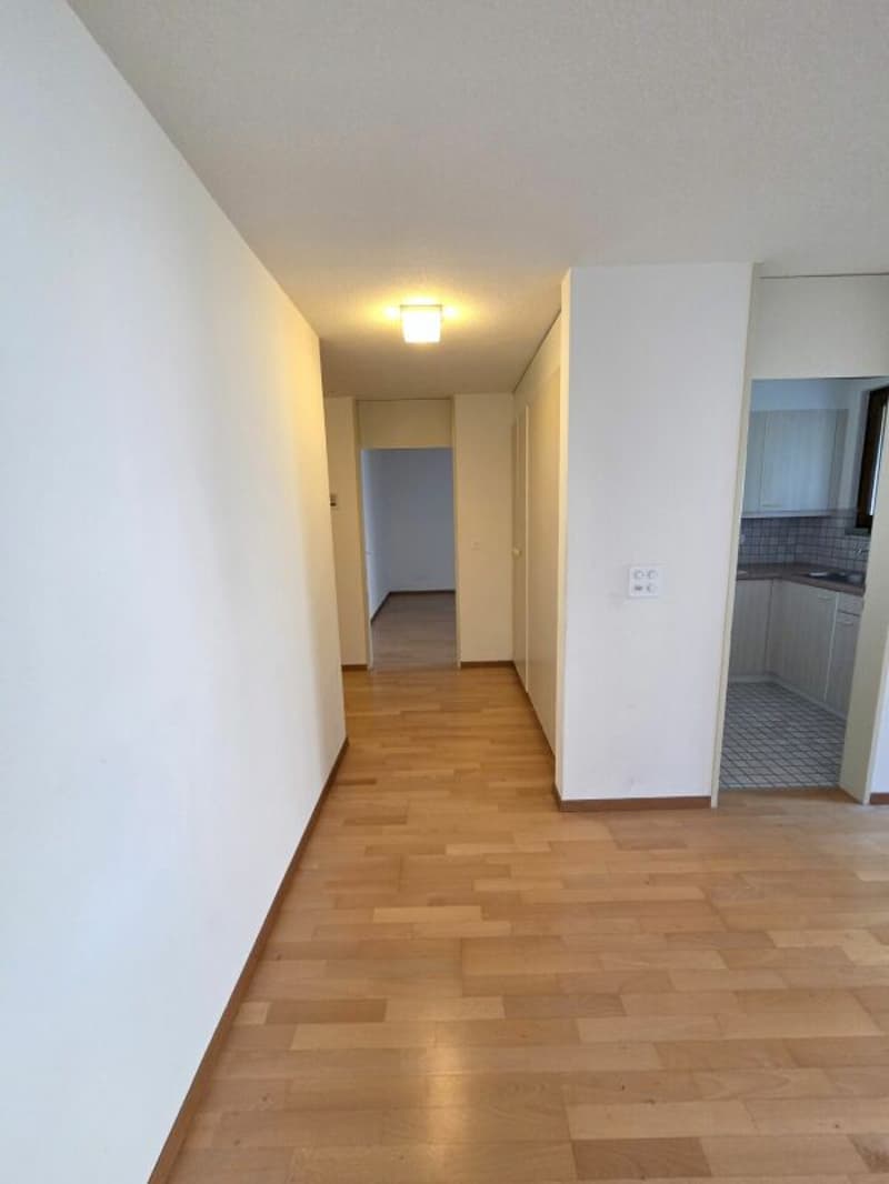Bright 2.5-room apartment in Buchrain (3)