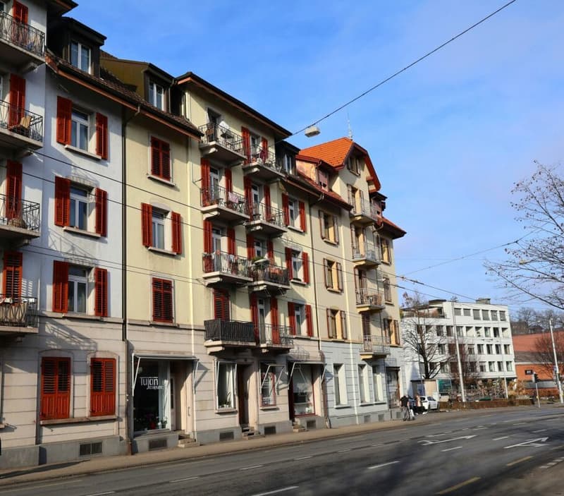 Appartamento di 3 camere con carattere di edificio antico (1)