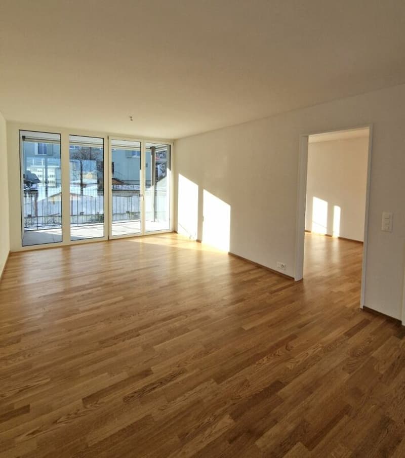 Moderne 2.5-Zimmerwohnung in der Neustadt Luzern Kopie (2)