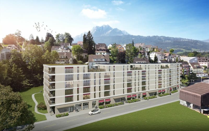 Moderne 2.5-Zimmerwohnung in der Neustadt Luzern Kopie (8)