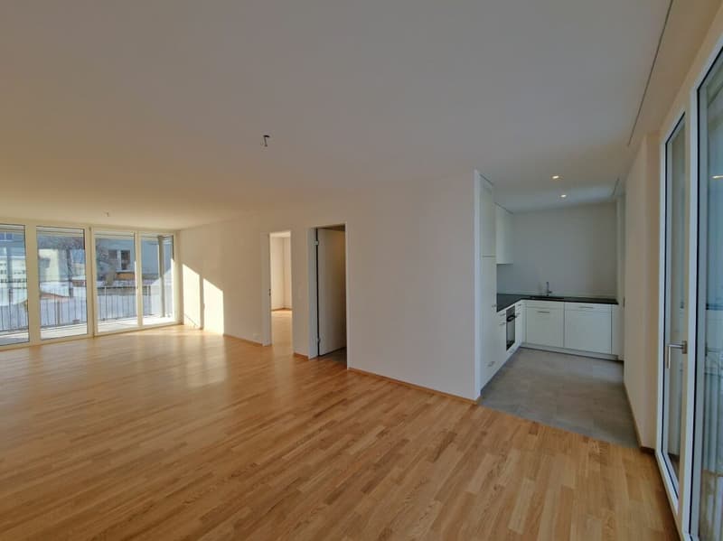 Moderne 2.5-Zimmerwohnung in der Neustadt Luzern Kopie (1)