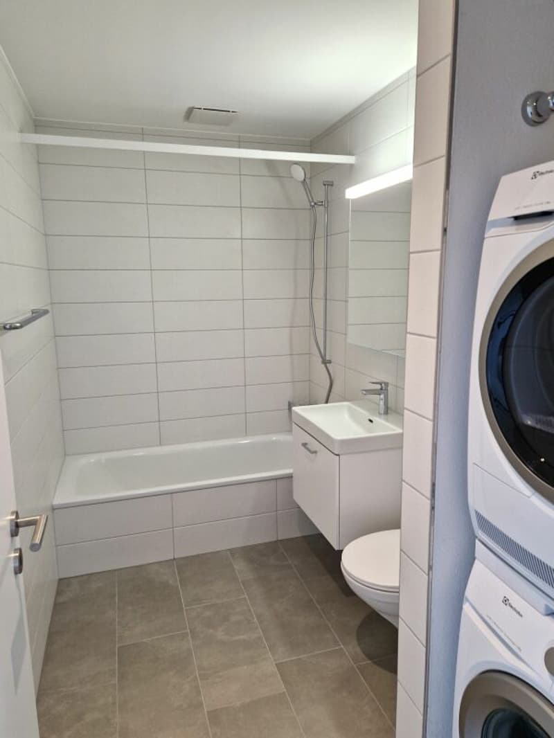 Moderne 2.5-Zimmerwohnung in der Neustadt Luzern Kopie (5)