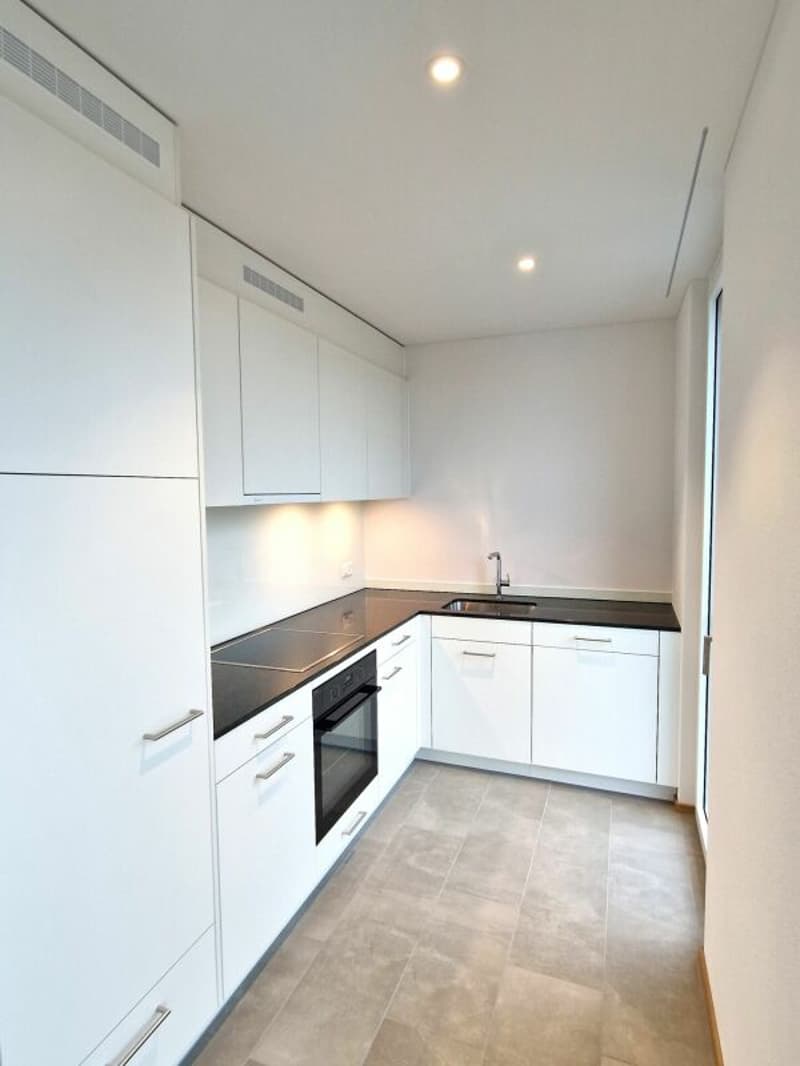 Moderne 2.5-Zimmerwohnung in der Neustadt Luzern Kopie (4)
