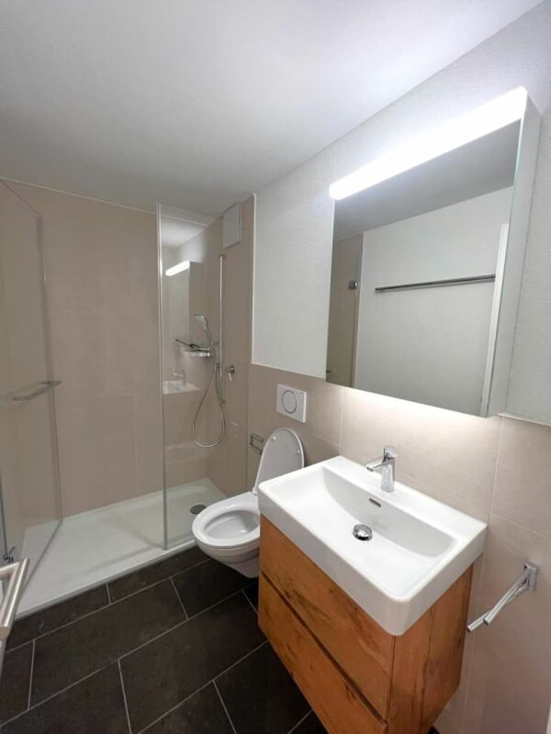 Modern 1.5 room apartment in Zug (3)
