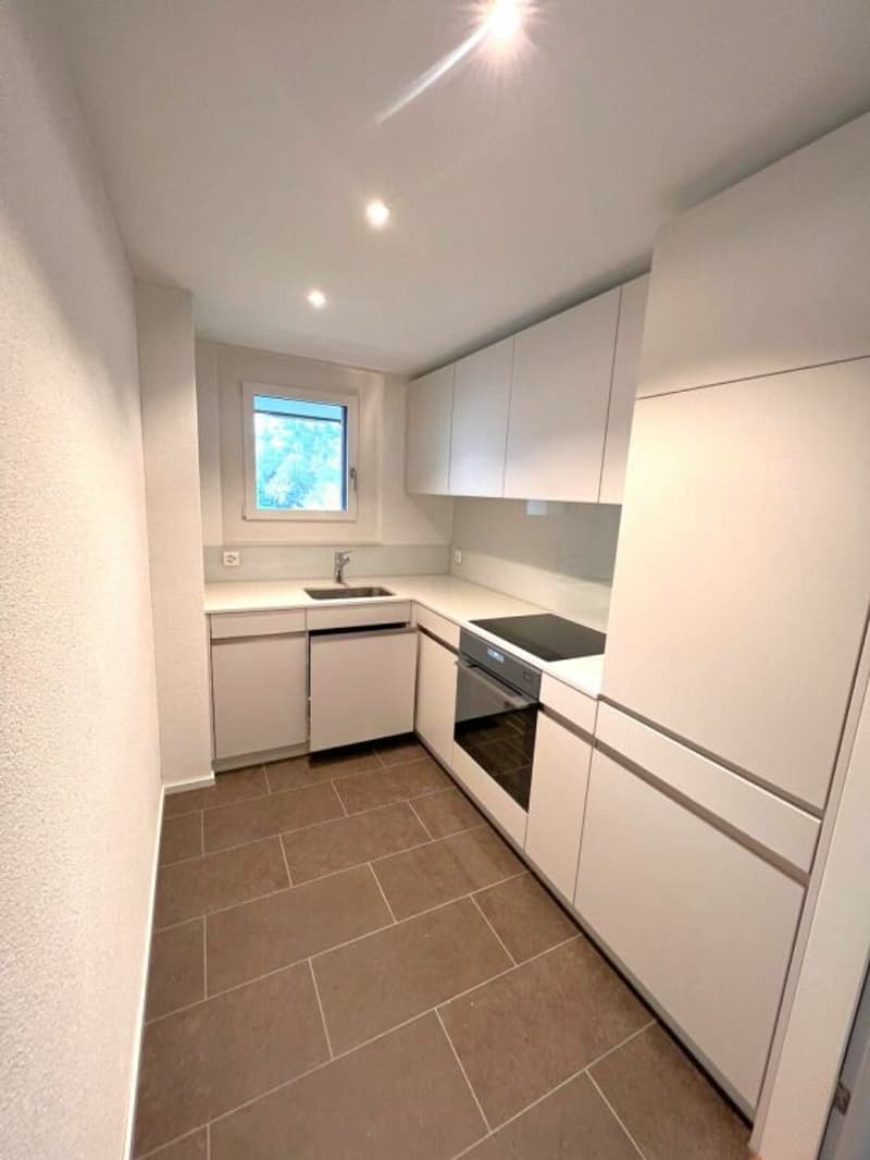 Modern 1.5 room apartment in Zug (2)