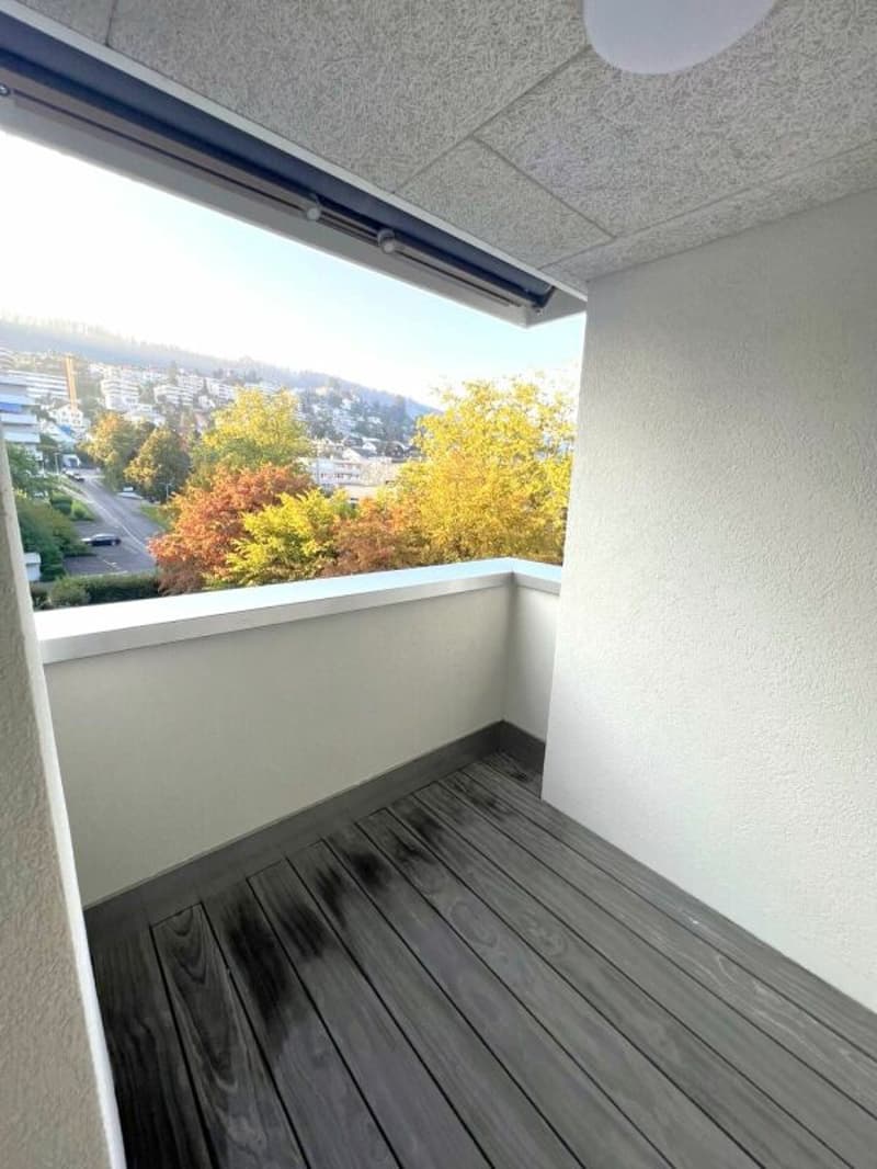 Modern 1.5 room apartment in Zug (5)