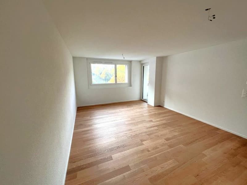 Modern 1.5 room apartment in Zug (1)