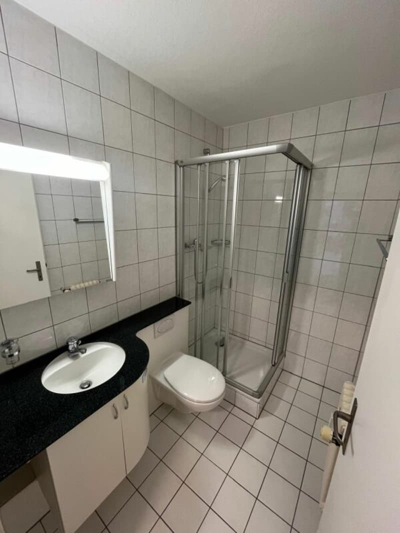 1-Zimmerwohnung mit Sicht auf Pilatus (4)