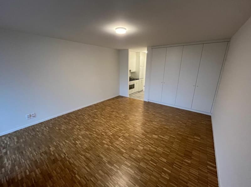 1-Zimmerwohnung mit Sicht auf Pilatus (2)