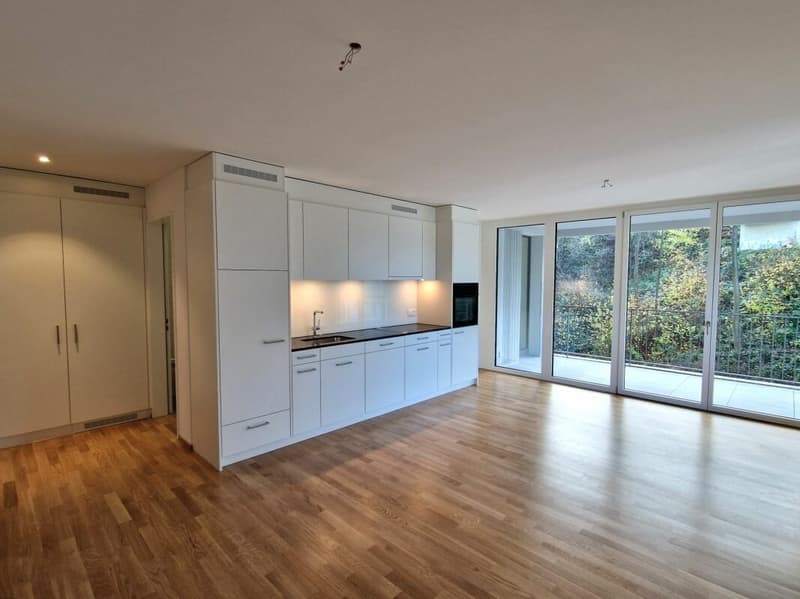 Moderne 2.5-Zimmerwohnung in der Neustadt Luzern (2)