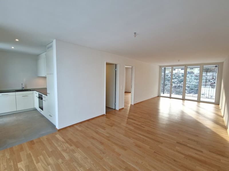 Moderne 2.5-Zimmerwohnung in der Neustadt Luzern (1)