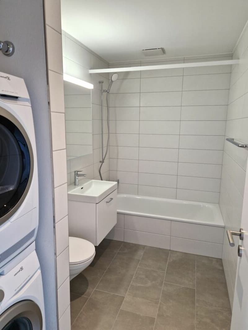 Moderne 2.5-Zimmerwohnung in der Neustadt Luzern (4)